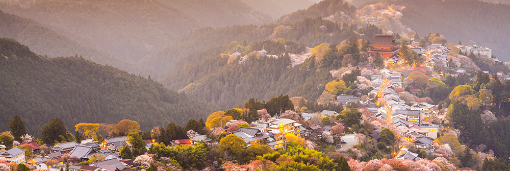 Trek_Package 919 - Nara1